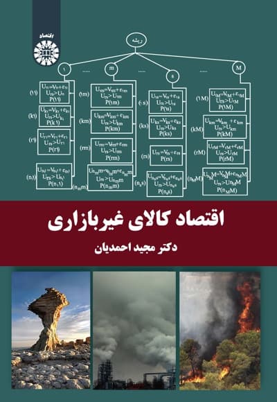 اقتصاد کالای غیر بازاری
