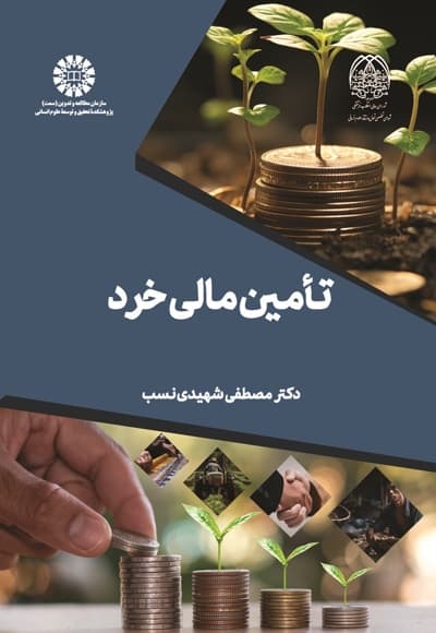 تامین مالی خرد