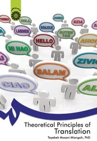 Theoretical Principles of Translation